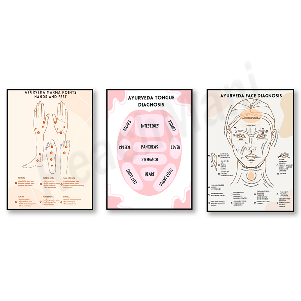Ayurvedic & Herbal Wellness Kits - مخطط الطاقة الأيورفيدية، ملصق تشخيصي أيورفيدية