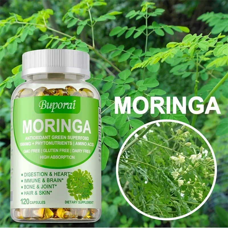 كبسولات مورينجا - تعزز عملية ا - مراجعة Moringa Leaf Powder وسعره